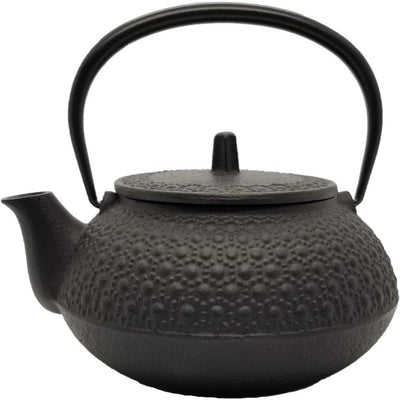 IWACHU 650ml Tetsubin Cast Iron Kettle Teapot Kikko "Tortoise Shell Pattern"