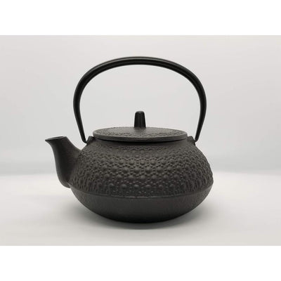 IWACHU 650ml Tetsubin Cast Iron Kettle Teapot Kikko "Tortoise Shell Pattern"