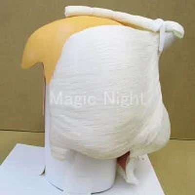 Samurai Wig Gray/White Hair