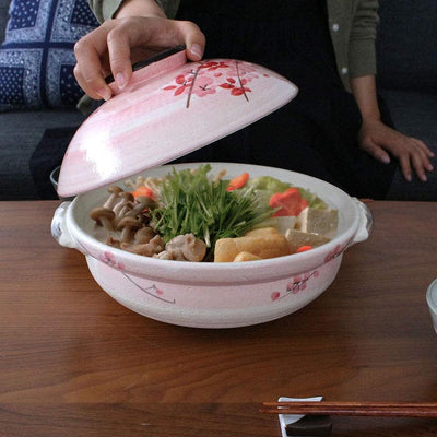 Banko Ware Donabe 25.5cm 2-4 People Skura Clay Pot