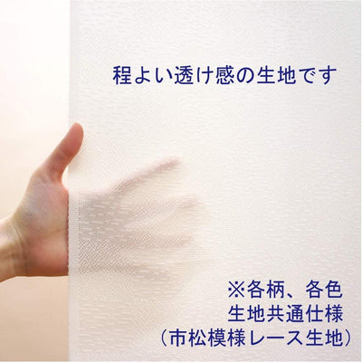 NOREN Japanese Doorway Curtain Aka Fuji (Red Fuji) Hokusai Katsushika Green150 x 85cm