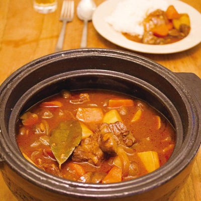 IGA Donabe for all purposes Clay Pot Made in Japan