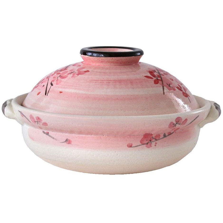 Banko Ware Donabe 25.5cm 2-4 People Skura Clay Pot 