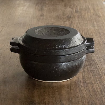 IGA Donabe for all purposes Clay Pot Made in Japan 